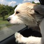 Profile Picture of Steve Herndon (@steve.herndon23) on Instagram