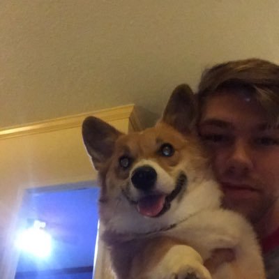 Profile Picture of Ben Whipple (@lilwhip6) on Twitter