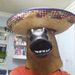 Profile Picture of Adam Canning (@adamcanning11) on Pinterest