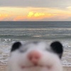 Profile Picture of егорчии (@homesneaker) on Tiktok
