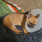 Profile Picture of Aaron Lane (@eoinlane6334) on Youtube