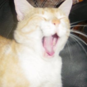 Sylvia Jordan - Myspace Profile Picture of Sylvia Jordan (@sj03) on Myspace