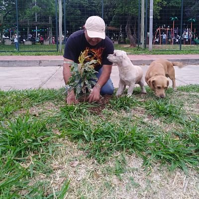 Profile Picture of Juan Carlos Salame Cuéllar (@salame_luis) on Twitter