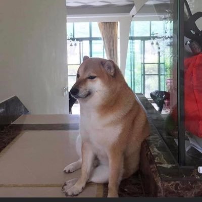 Profile Picture of Samuel Constantino (@SamuelC62766392) on Twitter