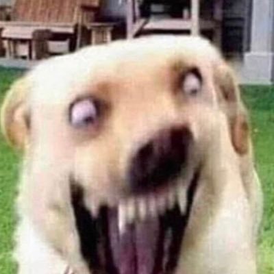 Profile Picture of Elena Temple Smith (@temple_elena) on Twitter