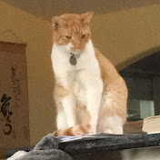 Profile Picture of Clutter Corporation (@ClutterCorporation) on Youtube