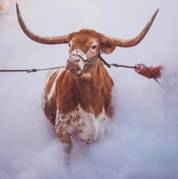 Brent Sansom - Poshmark Profile Picture of Brent Sansom (@brentsansom) on Poshmark