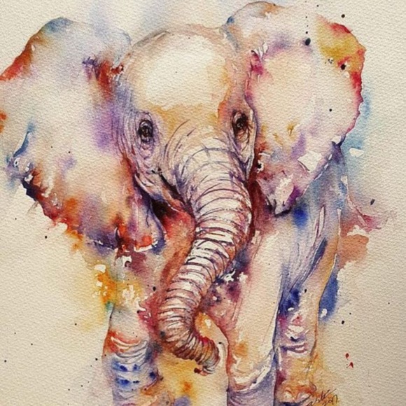 Profile Picture of Gona Qorri (@mqorri1) on Poshmark