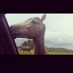 Profile Picture of James Fugate (@fugate2876) on Instagram