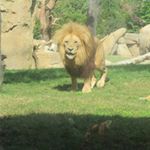 Marc Coronado - Instagram Profile Picture of Marc Coronado (@_marc_10_) on Instagram