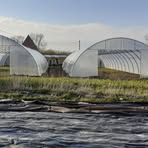 Profile Picture of Thomas Mertens (@thomas.mertens.5832) on Facebook