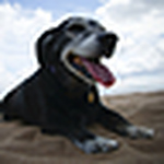 Profile Picture of David Manser (@david manser) on Flickr