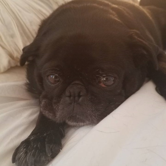 Regina Ruffalo - Poshmark Profile Picture of Regina Ruffalo (@reginaruffalo) on Poshmark