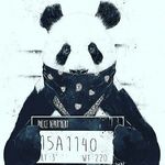 Profile Picture of Bryan Ward (@bryaneward) on Instagram