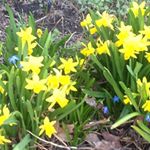 Profile Picture of Linda Branch (@branch7715) on Instagram