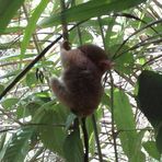 Profile Picture of Chad Mondragon (@chad.mondragon.10) on Facebook