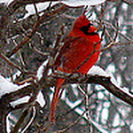 Profile Picture of jfmitch (@jfmitch) on Flickr