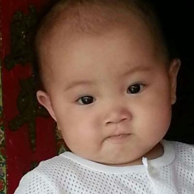 Profile Picture of Alex Sim (@alexsim93) on Twitter