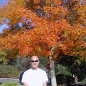 Chris Nish - Youtube Profile Picture of Chris Nish (@ElPortalDoggies) on Youtube