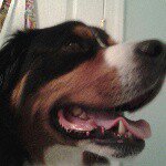 Profile Picture of roscoe Wilson (@roscoe.wilson) on Instagram