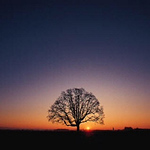 Profile Picture of Richard Balogh (@rbalogh52) on Flickr