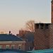 Profile Picture of Andrew Montanaro (@andrewmontanaro) on Pinterest