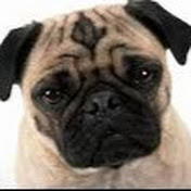 Profile Picture of Stephanie Dunlap (@runlap1111) on Youtube