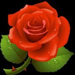 George lyeme - Instagram Profile Picture of George lyeme (@lyeme123) on Instagram