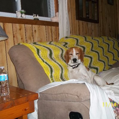 Profile Picture of Brian James Lamour (@LamourBrian) on Twitter