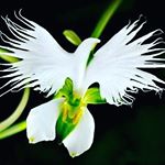 Profile Picture of miriam baumann (@miriambauma) on Instagram