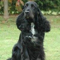 Profile Picture of Peter Archer (@peter-archer-20) on Quora
