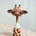 Profile Picture of Christy Shirley (@christyshirley) on Pinterest