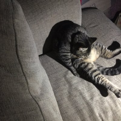 Profile Picture of Jerome N Watts (@jerome_watts) on Twitter