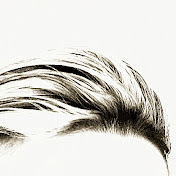 Profile Picture of JEssE HopE (@jessehope3629) on Youtube