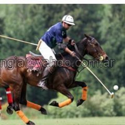 Profile Picture of Peter Lusardi (@peterlusardi) on Twitter