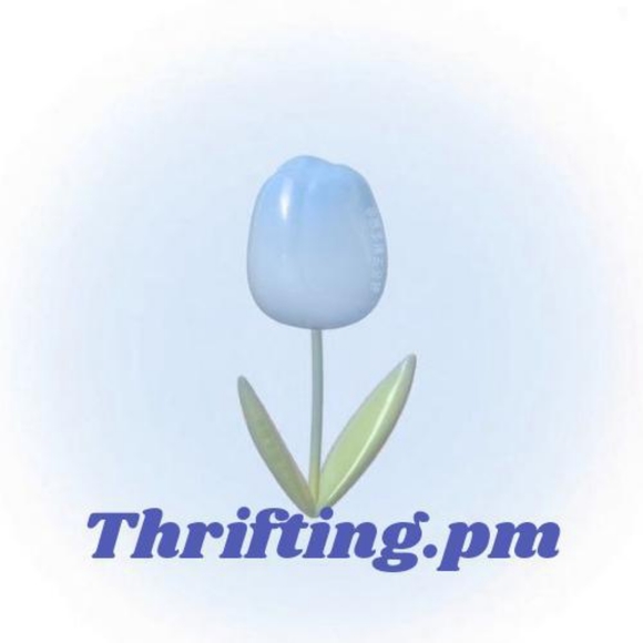 Profile Picture of Pragati Manchanda (@thriftingpm) on Poshmark