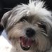 Profile Picture of Bobbie Williams (@bobbie.williams.14811692) on Facebook