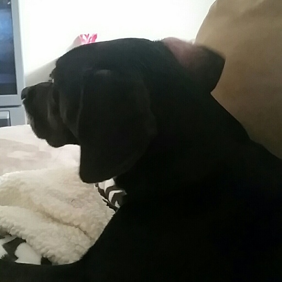 Profile Picture of Jessica Wireman (@wiremanj5911) on Poshmark