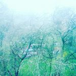 Vista Novikova - Instagram Profile Picture of Vista Novikova (@mintydawn) on Instagram