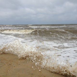 Profile Picture of Ellen Brouwer (@ellen.brouwer.75) on Facebook