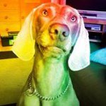 Profile Picture of Matthew Rowand (@matthewrowand) on Instagram