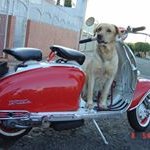 Profile Picture of Alexandre Andrade Addario (@alexandreandradeaddario) on Instagram