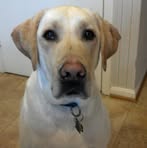 Profile Picture of Robert Gartrell (@robert.gartrell.9) on Facebook