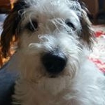 Profile Picture of Steve Brunt (@steve.brunt) on Instagram