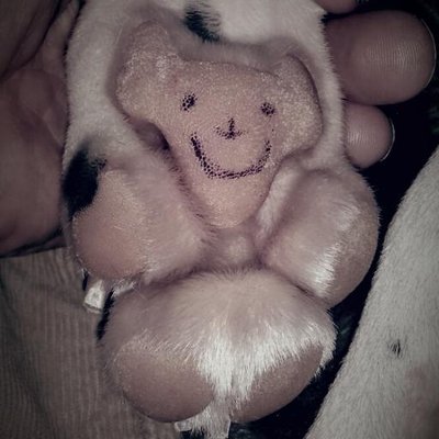 Profile Picture of Marc Robillard (@robillard_marc) on Twitter