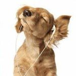 Profile Picture of Beza Solomon (@bezedil) on Instagram