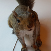 Profile Picture of FollowingRacqui (@FollowingRacqui) on Flickr