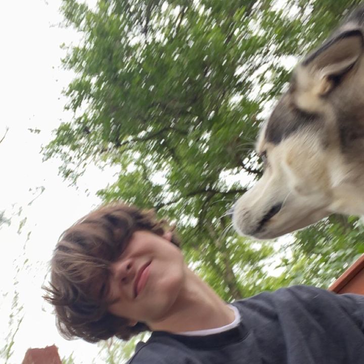 Profile Picture of some account (@michaelquattrochi) on Tiktok