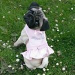 Profile Picture of Lucy Cummings (@lucy90920_c) on Instagram