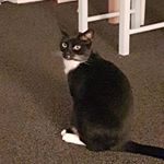 mandy jameson - Instagram Profile Picture of mandy jameson (@jameson.mandy) on Instagram